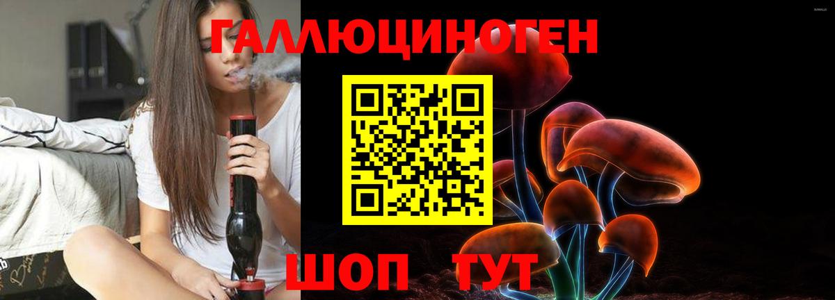 Псилоцибиновые грибы мицелий  Вход с VPN  Гуково 